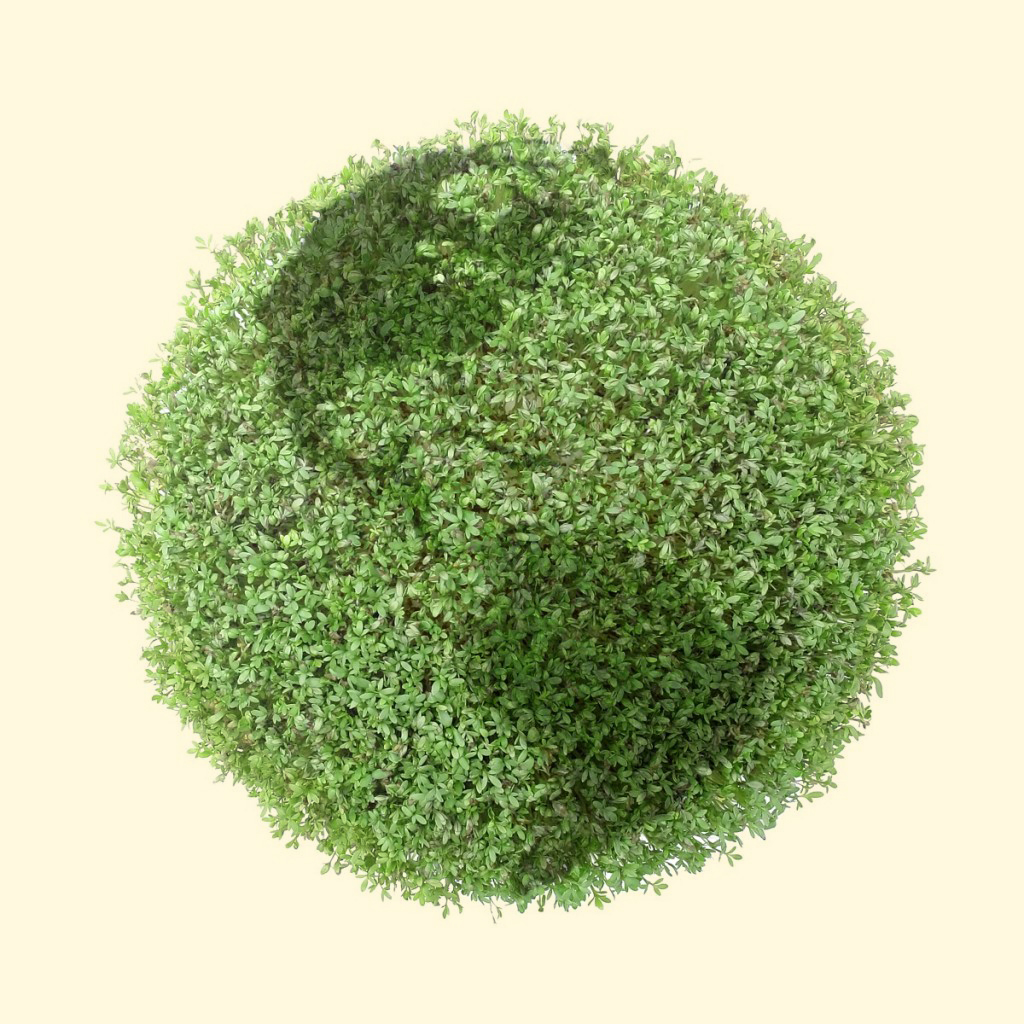 Enjeux et défis du développement